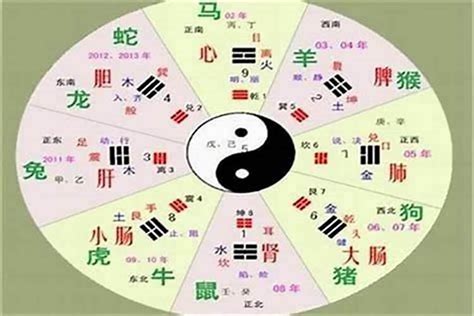 劭五行|劭字的五行属性